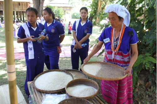 Living Museum: Lanna Culture & Way of Life 2016