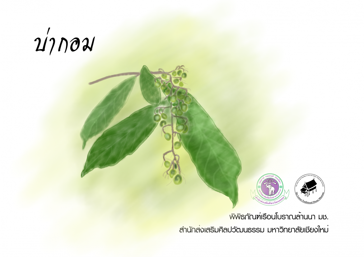 บ่ากอม
