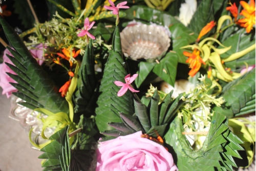 ต้อนรับสื่อมวลชนในโครงการ Chiang Mai Blooms