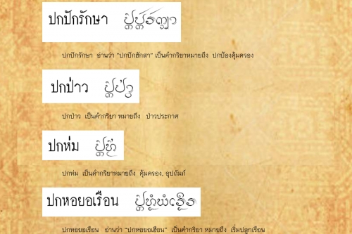 ปกเติน ปกหัวเข่า - 23 เมษายน 2562