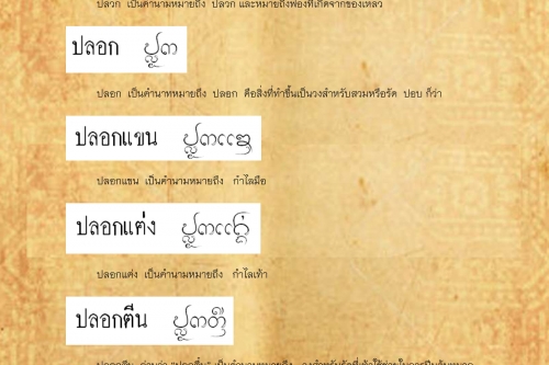 ปลวก ปลอกนิ้ว - 14 พฤษภาคม 2562