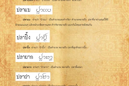 ปลาเบียน ปลาพาน - กรกฎาคม 2562