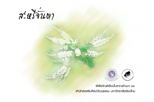 สะหรีจั๋นตา