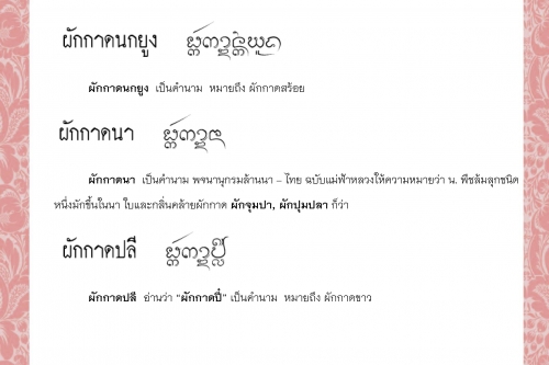 ผักกาดดิน ผักกาดนกยูง ผักกาดนา ผักกาดปลี ผักกาดปั่น ผักกาดโป้ง - 4 พฤษภาคม 2564