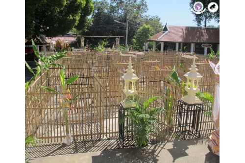 การตั้งธัมม์หลวง