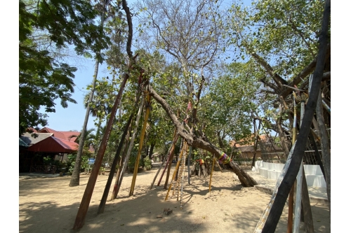 แห่ไม้ค้ำสะหรี 