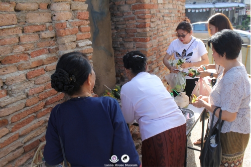 สืบชะตาเมืองเชียงใหม่