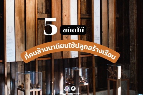 5 ชนิดไม้ ที่คนล้านนานิยมนำมาทำเป็นที่อยู่อาศัย 