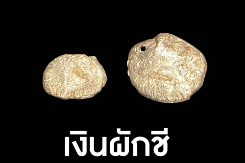 เงินตราล้านนา