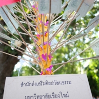 ร่วมพิธีทอดถวายผ้ากฐินมหาวิทยาลัยเชียงใหม่ ประจำปี 2562